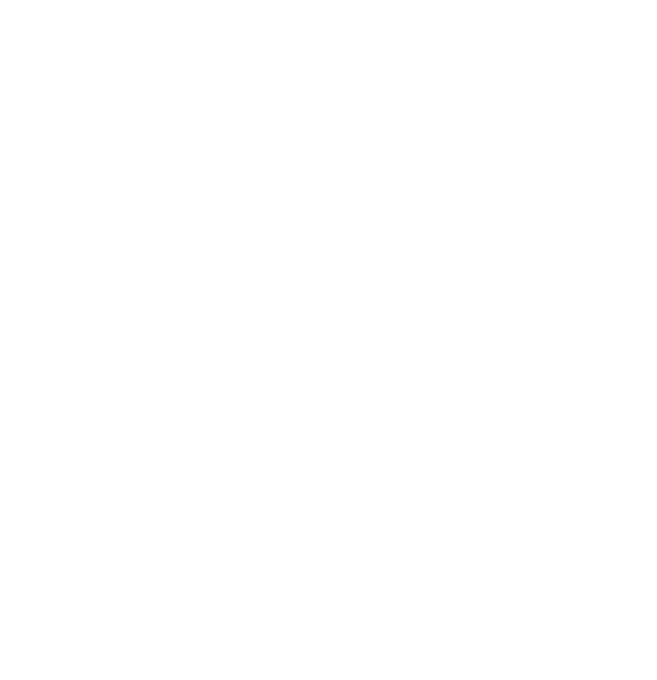 Play Store Icon